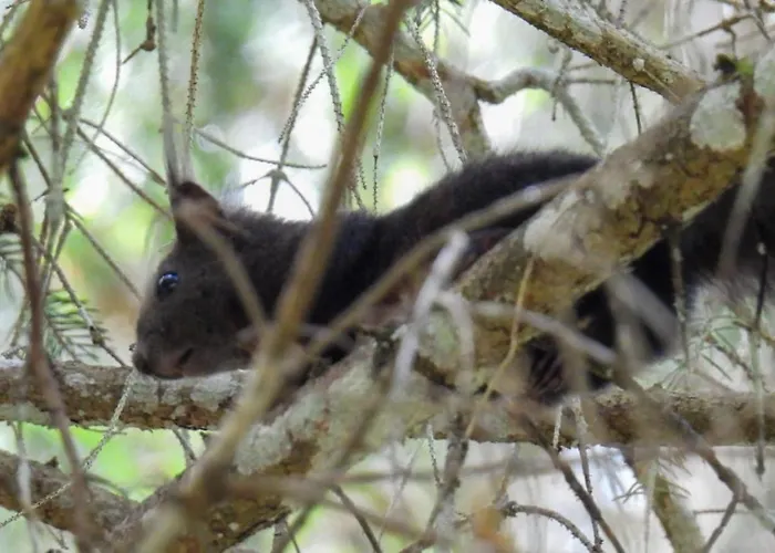 Haus An Der Sonne 2 Biberwier
