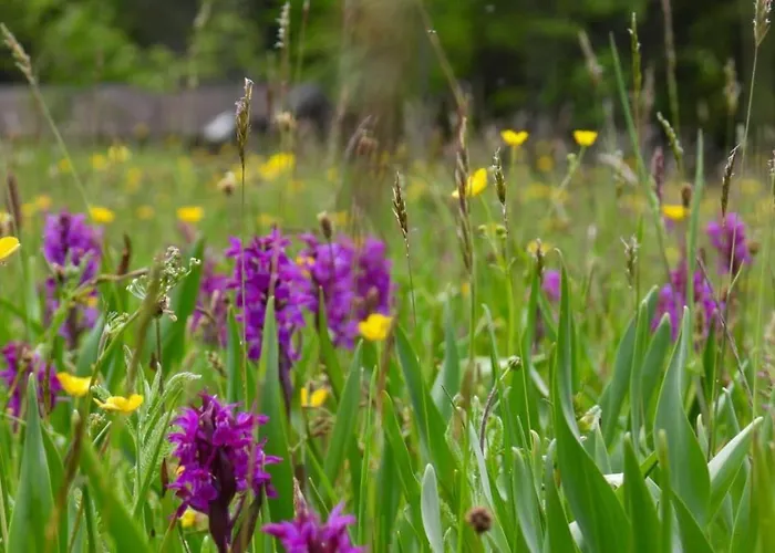 Haus An Der Sonne 2 Διαμέρισμα *