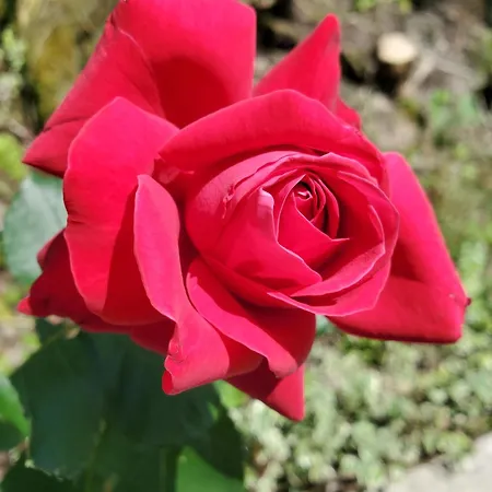 Haus An Der Sonne 2 Apartment