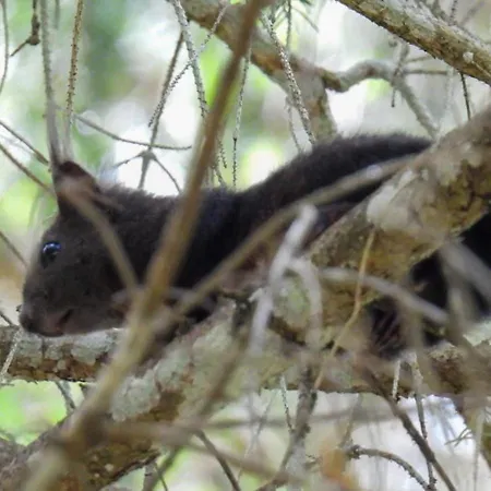 Haus An Der Sonne 2 Biberwier